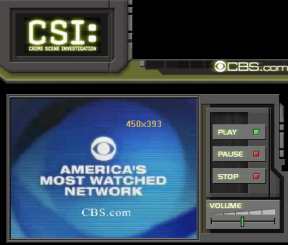 CSI413.jpg (8793 bytes)