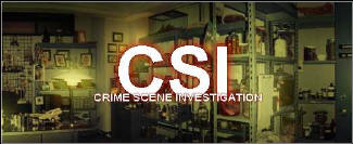 csiwide.jpg (18665 bytes)