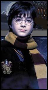 harrypotter2.jpg (8433 bytes)