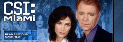 csimiami35.jpg (7050 bytes)