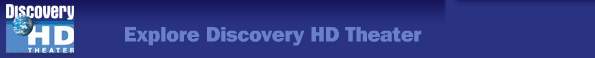 discoverynewbnr.jpg (3882 bytes)