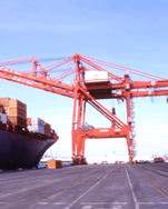 giantcranes.jpg (5013 bytes)