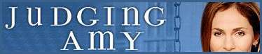 judgingamysmall.jpg (6084 bytes)
