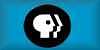pbsbutton.jpg (1156 bytes)