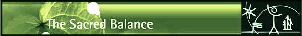 sacredbalancebnr.jpg (8402 bytes)