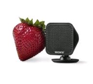 HT-IS100 BRAVIA(R) Theatre Micro System