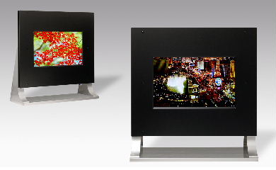 TMD 21-inch OLED HDTV display