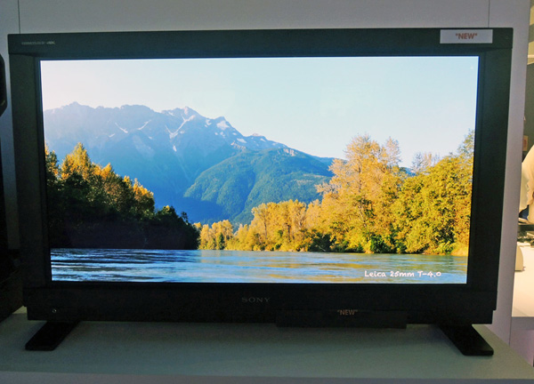 Sony's 30-inch Trimaster OLED looked great, but will its price tag break the bank?