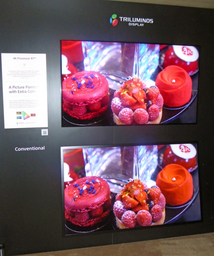 Sony had demonstrations of both HDR and wide color gamut (WCG) video in their CES booth.