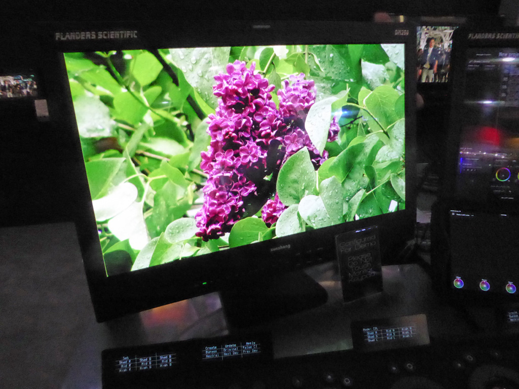 Flanders Scientific showed this impressive prototype HDR reference monitor.