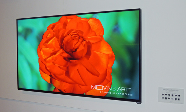 At least one Vizio model P552ui-B2) uses IPS LCD glass, while the rest employ MDA LCD. Vizio claims this provides better black levels than Samsung's PVA LCD panels.