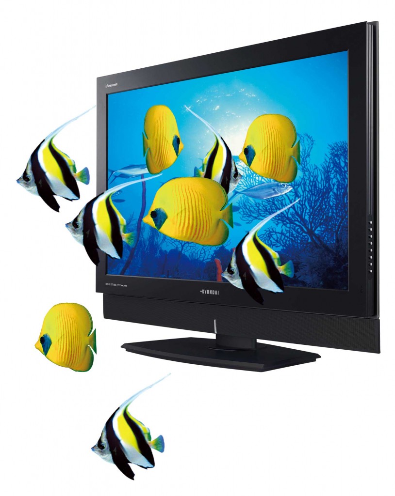 HDTV Expert - Where's The Beef? Part II