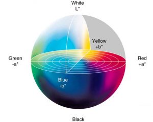 Two Keys to Optimal HDR TVs:  Dynamic HDR Metadata and Tone Mapping