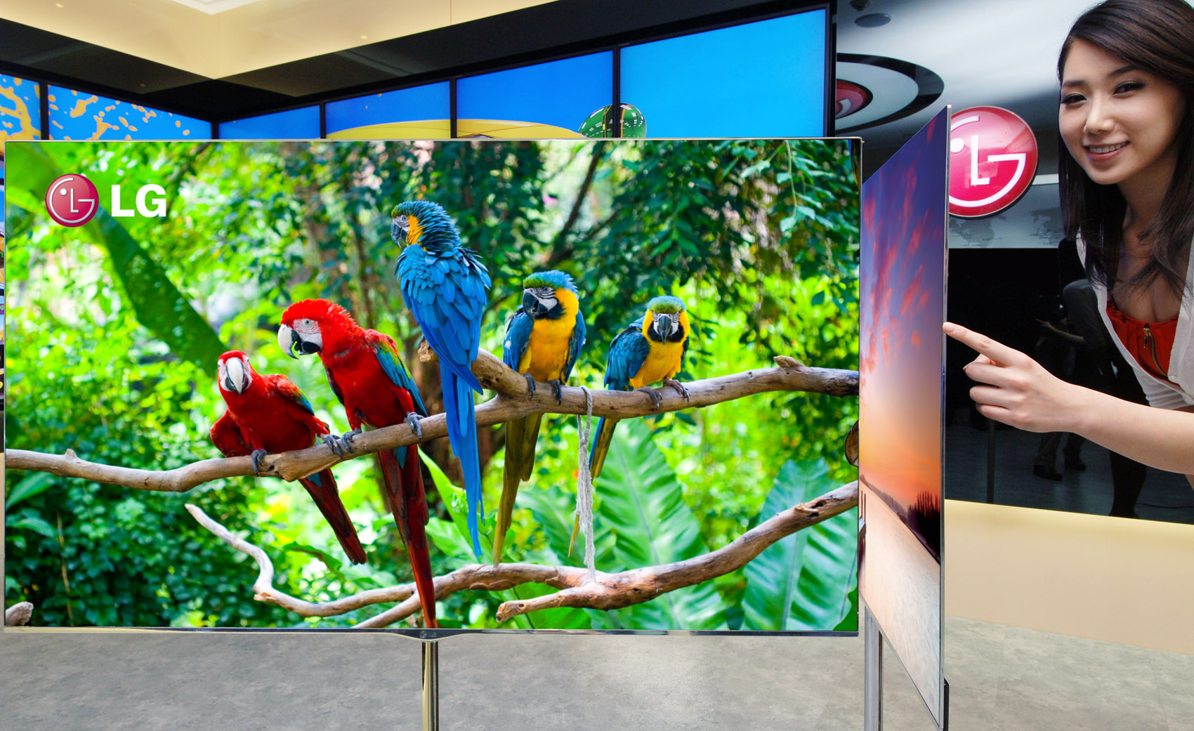 LG 55-inch OLED HDTV